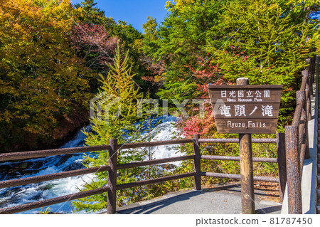 Autumn leaves at Ryuzu Falls in Oku-Nikko Autumn leaves at Ryuzu Falls in Oku-Nikko 81787450