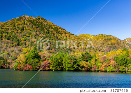 Autumn leaves at Lake Yunoko in Oku-Nikko Autumn leaves at Lake Yunoko in Oku-Nikko 81787456