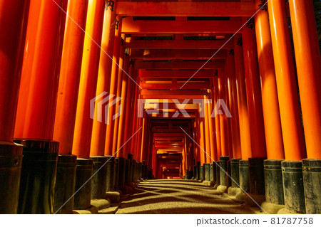 Fushimi Inari Taisha Shrine and the Thousand Torii Gates at Night (Kyoto Prefecture) Fushimi Inari Taisha Shrine and the Thousand Torii Gates at Night (Kyoto Prefecture) 81787758