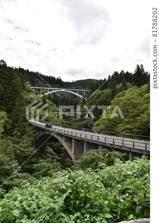 Arch 3 Bridge (Brother) Arch 3 Bridge (Brother) 81788202