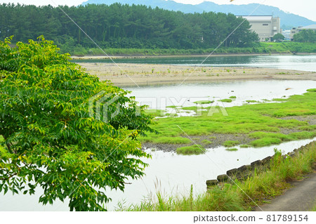 一條河 一條河 81789154