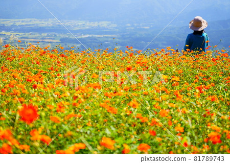 宇宙場中一個女人的後視圖，景色優美 81789743