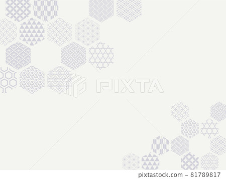 Japanese crest tortoise shell snow 81789817