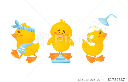 Little Yellow Chick Washing in Shower and Weighing Vector Set Little Yellow Chick Washing in Shower and Weighing Vector Set 81789887