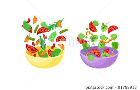 Vegetarian Salad with Dropping in Bowl Ingredient Mix Vector Set Vegetarian Salad with Dropping in Bowl Ingredient Mix Vector Set 81789918