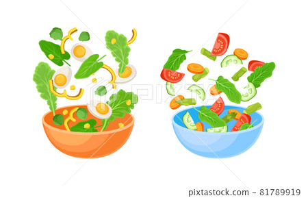 Vegetarian Salad with Dropping in Bowl Ingredient Mix Vector Set 81789919