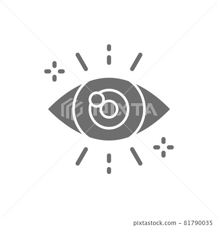 Vector business look, attentive eye grey icon. 81790035