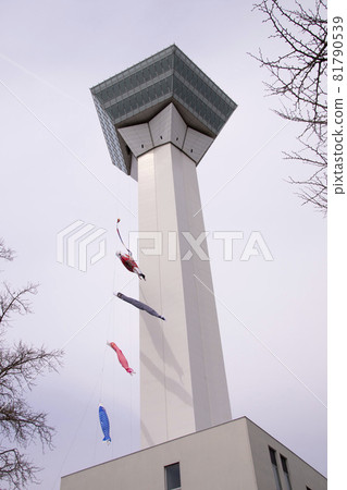[Vertical angle] Hakodate City Goryokaku Tower and carp streamers 81790539