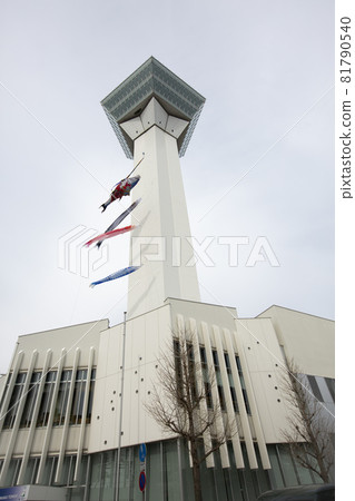 [Vertical angle] Hakodate City Goryokaku Tower and carp streamers 81790540