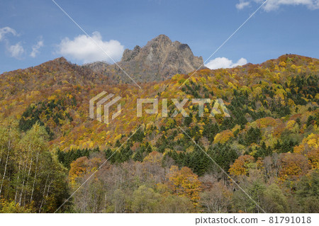Autumn leaves of Jozankei 81791018