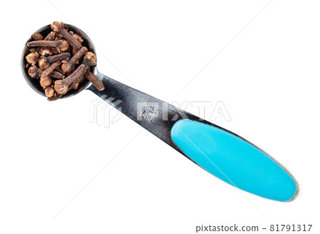 top view of dried cloves in measuring teaspoon cutout on white background top view of dried cloves in measuring teaspoon cutout on white background 81791317