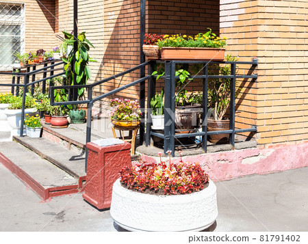 flowers and houseplants at entrance of residential multi-storey building 81791402