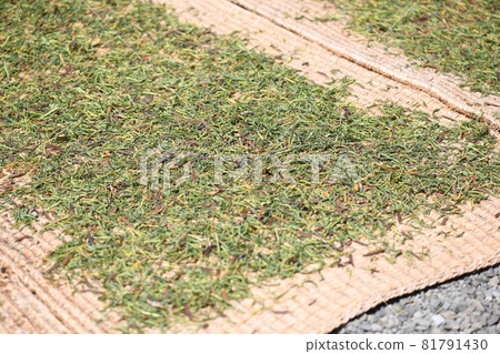 Sun-dried Kishimame 81791430