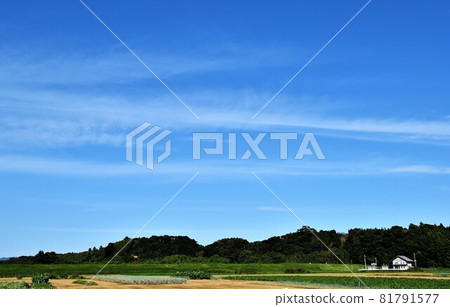 藍天和國家風景 81791577