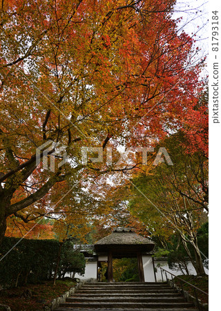 Yasuda Temple 81793184