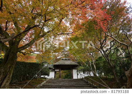 Yasuda Temple 81793188
