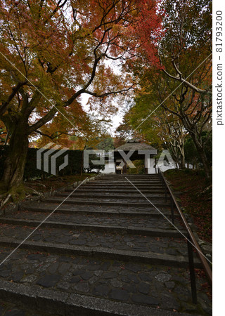 安田寺 81793200