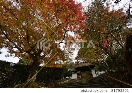安田寺 81793201