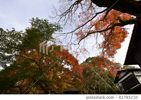 Yasuda Temple 81793210