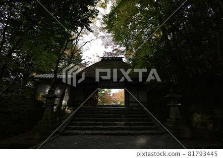 Honen-in Sanmon(框架門) Honen-in Sanmon(框架門) 81793445