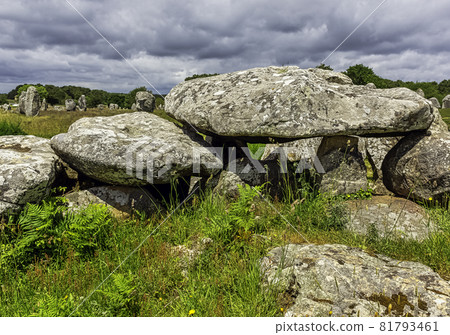 Alignements de Carnac - Carnac stones in Carnac, France Alignements de Carnac - Carnac stones in Carnac, France 81793461