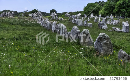 Alignements de Carnac - Carnac stones in Carnac, France 81793466