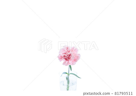 Bouquet carnation flower gift thank you perennial 81793511