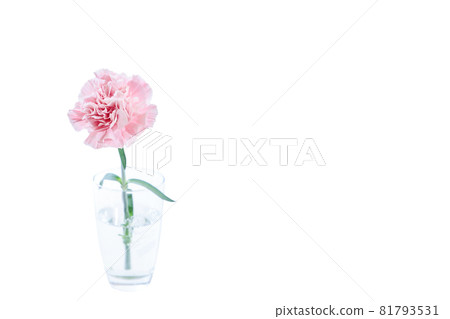 Bouquet carnation flower gift thank you perennial Bouquet carnation flower gift thank you perennial 81793531