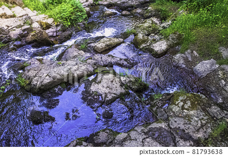Cance / Canon river - Le Neufbourg, Normandy, France 81793638