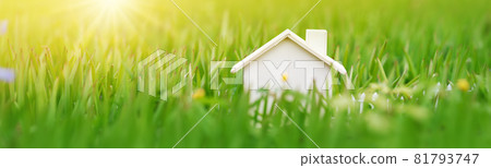 Wooden model of the house standing on the meadow with green grass. 81793747