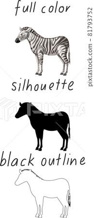 Set of zebra in color, silhouette and black outline on white background 81793752