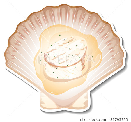 Scallop seafood sticker on white background Scallop seafood sticker on white background 81793753