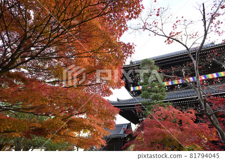 Kurodani Kimiwa Kwantoji猴門 81794045