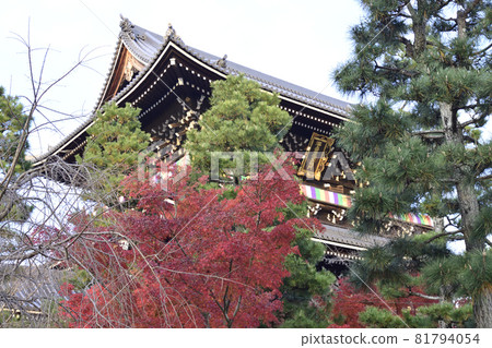 Kurodani Kimiwa Kwantoji猴門 Kurodani Kimiwa Kwantoji猴門 81794054