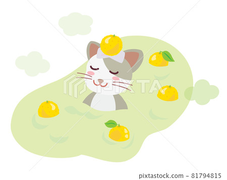 A cat entering the Yuzuyu at the winter solstice 81794815