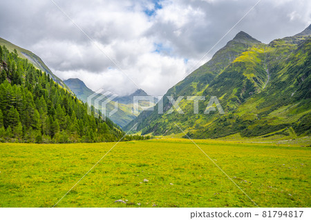 Green meadow in alpine valley, Green meadow in alpine valley, 81794817