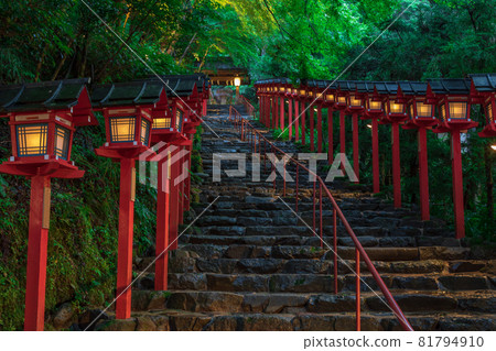Kibune Shrine at night <Kyoto> 81794910