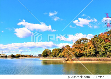 大阪府和泉市小明池的秋景 大阪府和泉市小明池的秋景 81795492