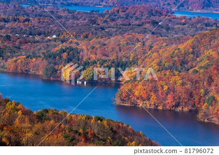 秋葉的里盤台，小野川湖 81796072