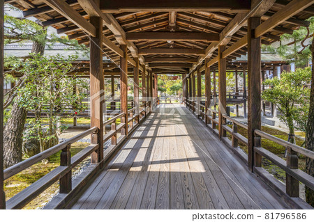 Spring Daikakuji (Kyoto) Corridor in the rain 81796586