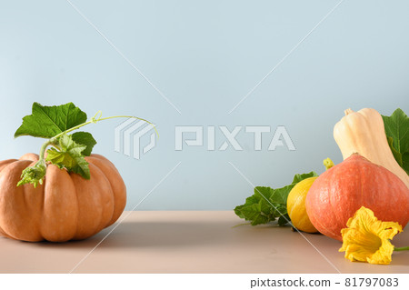 Organic ripe pumpkins on colorful blue and beige background. Autumn harvest for Thanksgiving Day or Halloween Party. Organic ripe pumpkins on colorful blue and beige background. Autumn harvest for Thanksgiving Day or Halloween Party. 81797083