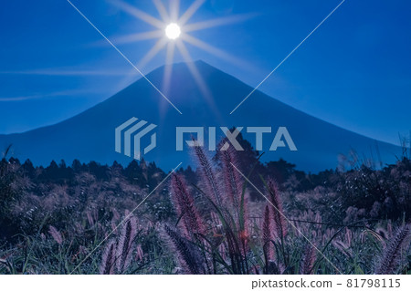 (Shizuoka Prefecture) The power of Asagiri Plateau and diamonds on the hillside of Mt. Fuji (Shizuoka Prefecture) The power of Asagiri Plateau and diamonds on the hillside of Mt. Fuji 81798115