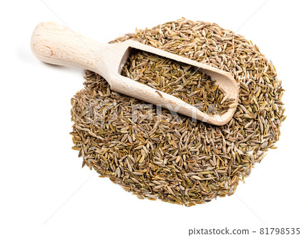 wooden scoop on pile of cumin seeds on white background wooden scoop on pile of cumin seeds on white background 81798535