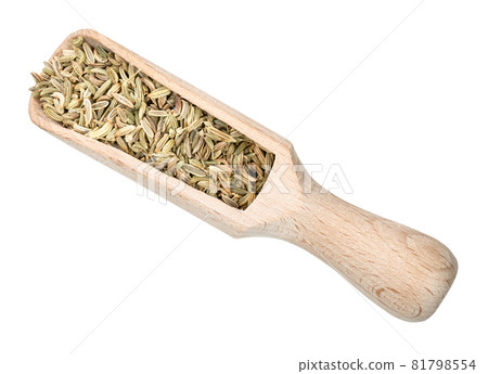 top view of Fennel fruits in wood scoop cutout on white background top view of Fennel fruits in wood scoop cutout on white background 81798554