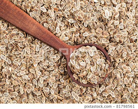 top view of wood spoon on pile of dill seeds closeup 81798561