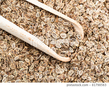wooden scoop on pile of dill seeds closeup 81798563