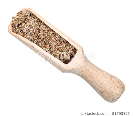 top view of dill seeds in wood scoop cutout on white background 81798565