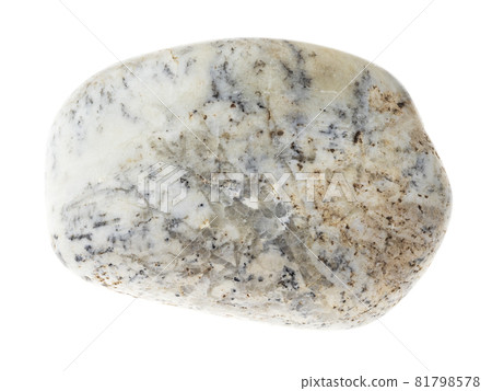 macro photography of natural mineral from geological collection - polished Albite stone on white background macro photography of natural mineral from geological collection - polished Albite stone on white background 81798578