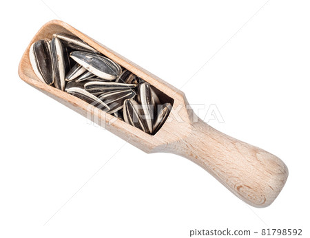 top view of sunflower seeds in wooden scoop cutout top view of sunflower seeds in wooden scoop cutout 81798592
