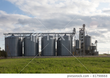Modern Granary elevator and seed cleaning line. 81798668